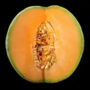 Zuckermelone