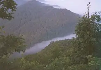 Ein nebliger Morgen am  Pinnacle im Cumberland Gap National Historic Park