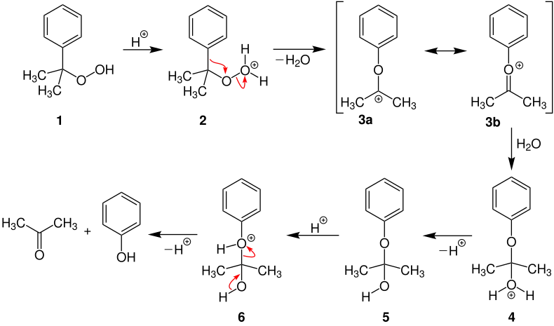 Cumolhydroperoxid-Verfahren Umlagerung