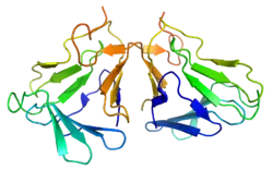 Curculin-1 (Curculigo latifolia)