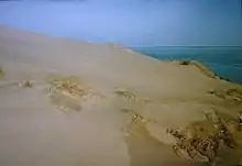 Kurische Nehrung