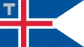 Flagge des Zolls