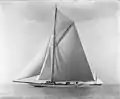 Shamrock II, 1901