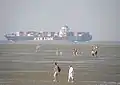 Im Watt vor Cuxhaven-Duhnen