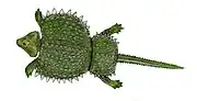 Lebendrekonstruktion
