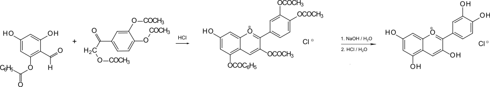 Eine Synthese von Cyanidin