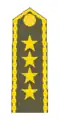 Armeegeneral(armádní generál)