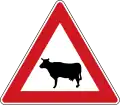 A-13Tiere