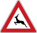 A-14Wild