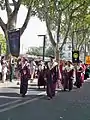 Parade der Confrérie de la Figue Longue Noire de Caromb in Avignon