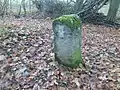 Grenzstein am Ziegenturm bei Dörna mit Mühlhaue