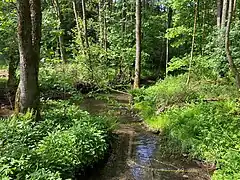 Dörpe bei Goldenbergshammer