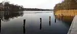 Dümmersee