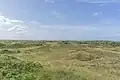 Dünen auf Langeoog