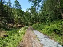 Forststeig im Tal der Dürren Biela