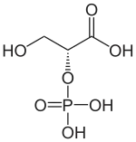 Strukturformel von D-2-Phosphoglycerinsäure