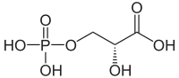 Strukturformel von 3-Phosphoglycerinsäure