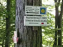 Hier führt der Hauptwanderweg 5 des Schwäbischen Albvereins zusammen mit dem Jakobsweg nach Süden in die Gegend von Bad Waldsee.
