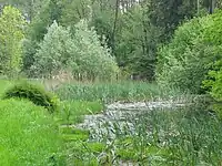 UntermühleWeiher, heute LSG