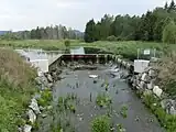 August 2015erste Pflanzen haben sich angesiedelt