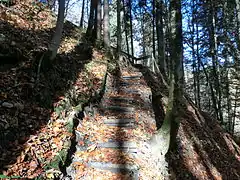 Weg zum Höllbühl