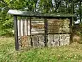 Station 9:Insektenwand