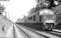 D157 in Lickey(um 1965)