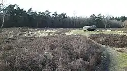 Das Großsteingrab D38 bei Emmen