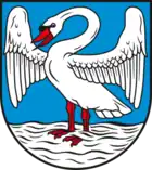 aufrecht stehend, mit ausgebreiteten Flügeln (Schwanebeck)