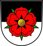 Geislingen an der Steige: Fünfblättrige und golden besamte Rose mit grünen Kelchblättern