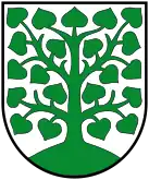 Wappen der Kreisstadt Homburg