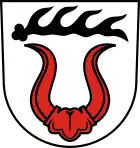 rotes Büffelgehörn mit Grind (Sachsenheim DE)
