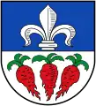 St. Ilgen