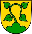 Lindenzweig aus Dreiberg wachsend (Unterwaldhausen/DE)