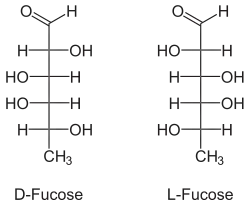 Struktur von Fucose