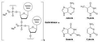 Defibrotid-Natriumsalz, schematisch