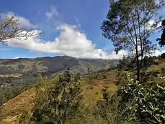 In Teli-Tuco