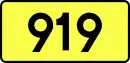 Droga wojewódzka 919