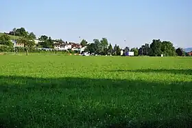 Dachsen