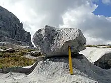 Karsttisch am Schreiberwandegg; Ältere Dryas