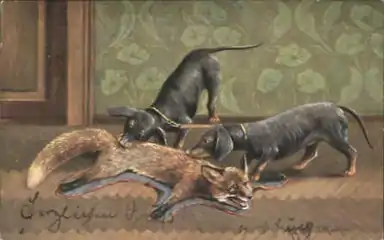 Rotfuchsvorleger und zwei Dackel  (August Müller (1836–1885))