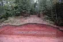 Freigelegtes Profil der Römerstraße Trier-Köln  bei Dahlem, Eifel