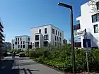Fünf Morgen