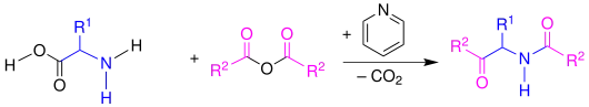 Übersicht Dakin-West-Reaktion