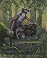 Dakotaraptor