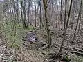 Im Mittellauf, flussaufwärts
