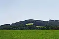 Der Damberg