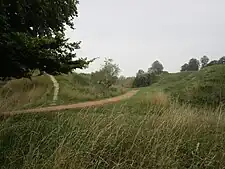 Im Danebury Hillfort