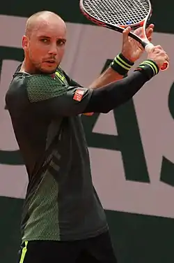 Steve Darcis
