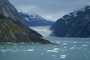 Der Dawes-Gletscher am Ende des Fjords